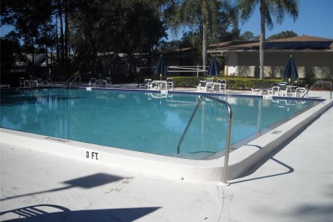 Studio in the Condo in Palm Harbor, Florida  № 1917118 - photo 21