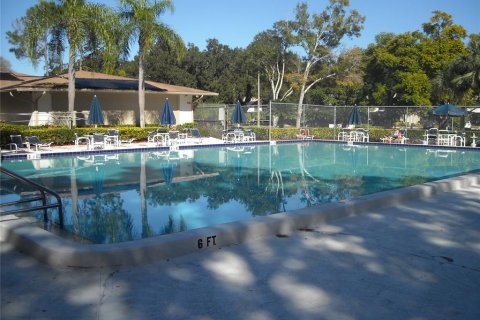 Studio in the Condo in Palm Harbor, Florida  № 1917118 - photo 20