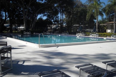 Studio in the Condo in Palm Harbor, Florida  № 1917118 - photo 22