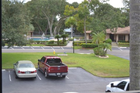 Studio in the Condo in Palm Harbor, Florida  № 1917118 - photo 13