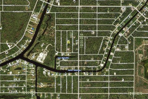 Land in Port Charlotte, Florida № 2161470 - photo 3