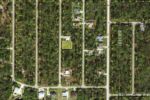 Land in Port Charlotte, Florida № 2161470 - photo 2