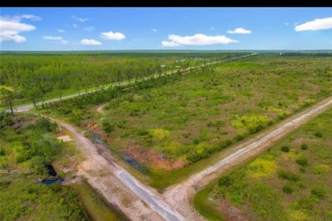Terrain à Indian lake estates, Floride № 2160048