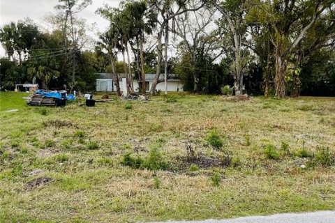 Land in Port Charlotte, Florida № 2163456