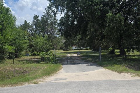 Appartement à louer à Summerfield, Floride: 4 chambres, 211.82 m2 № 2415337 - photo 4