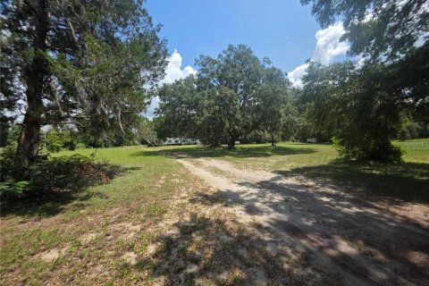 Appartement à louer à Summerfield, Floride: 4 chambres, 211.82 m2 № 2415337 - photo 10