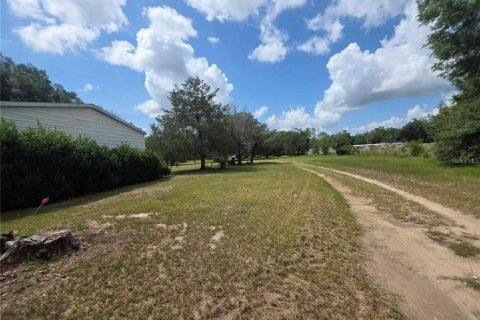 Appartement à louer à Summerfield, Floride: 4 chambres, 211.82 m2 № 2415337 - photo 11