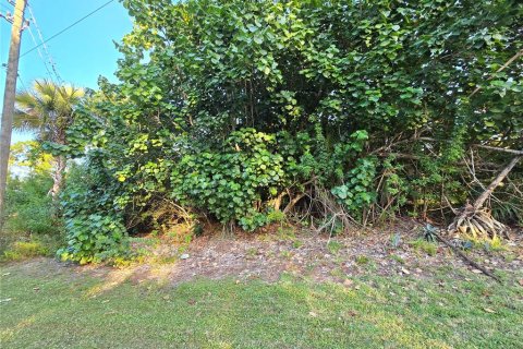 Land in Palm Bay, Florida № 2158722 - photo 13