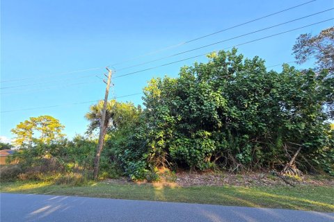 Land in Palm Bay, Florida № 2158722 - photo 11