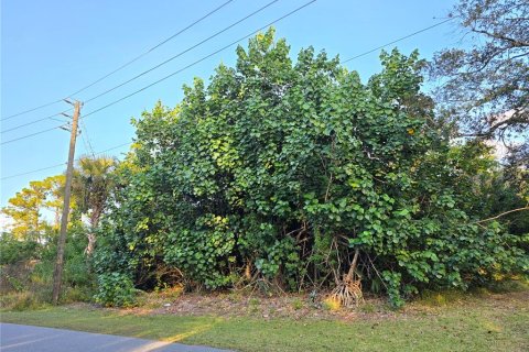 Land in Palm Bay, Florida № 2158722 - photo 12