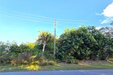 Land in Palm Bay, Florida № 2158722 - photo 2