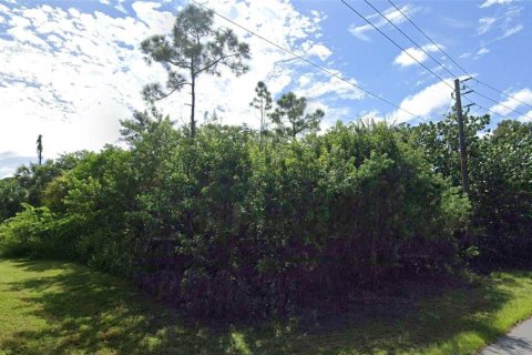 Land in Palm Bay, Florida № 2158722 - photo 14