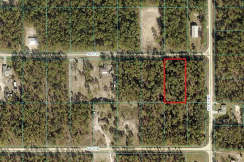 Terreno en venta en Dunnellon, Florida № 1169316 - foto 1