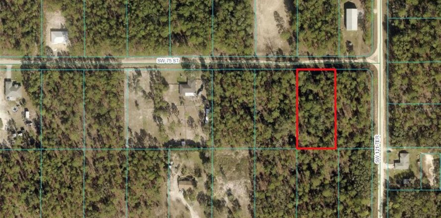 Terreno en Dunnellon, Florida № 1169316
