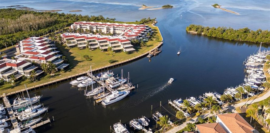 Condo à Punta Gorda, Floride, 3 chambres  № 2344848