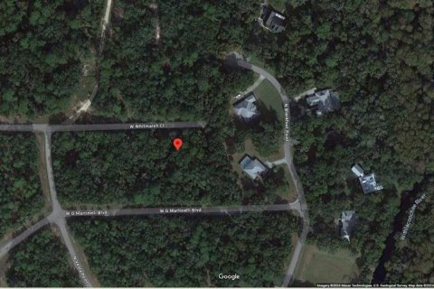 Land in Dunnellon, Florida № 2213960 - photo 4