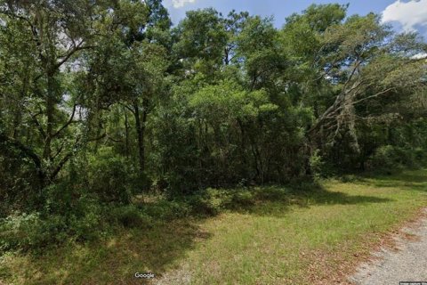 Land in Dunnellon, Florida № 2213960