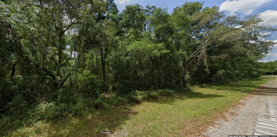 Land in Dunnellon, Florida № 2213960