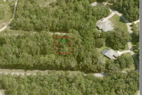 Land in Dunnellon, Florida № 2213960 - photo 2