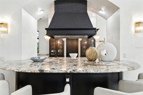 House in Tampa, Florida 5 bedrooms, 634.8 sq.m. № 2221877 - photo 14