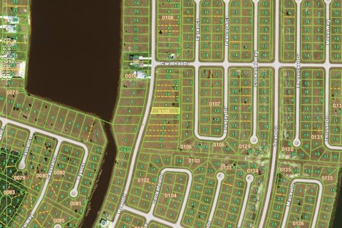 Land in Placida, Florida № 2164545 - photo 2