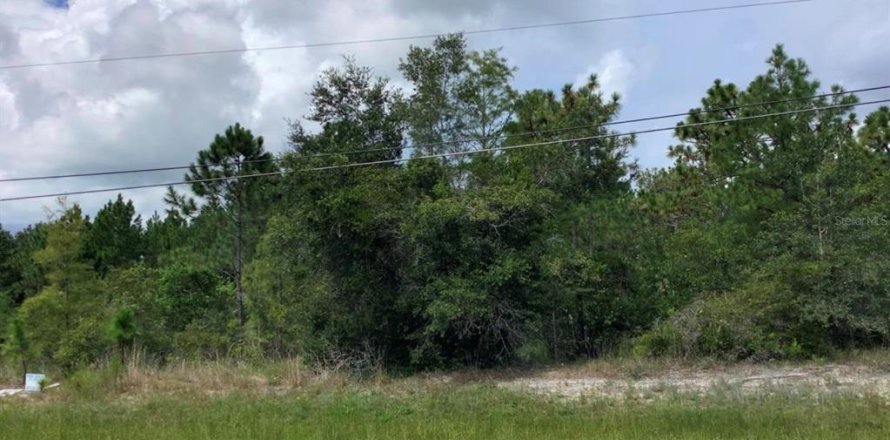 Land in Orlando, Florida № 1834650