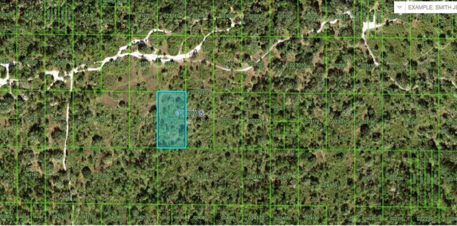 Terreno en Frostproof, Florida № 2226959