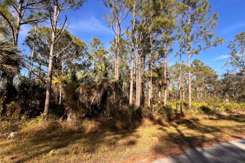 Land in Port Charlotte, Florida № 2223848 - photo 3