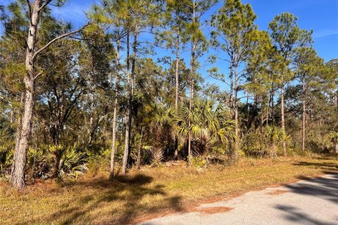 Land in Port Charlotte, Florida № 2223848 - photo 2