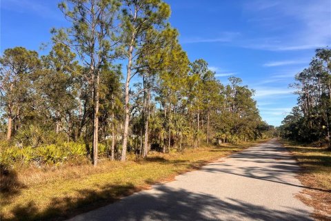 Land in Port Charlotte, Florida № 2223848 - photo 4