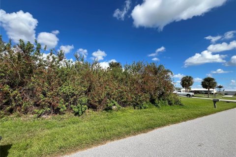 Land in Port Charlotte, Florida № 2159518