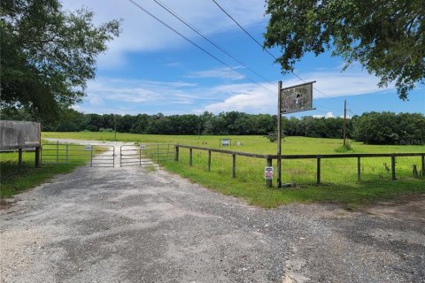 Propiedad comercial en venta en Belleview, Florida № 874802 - foto 7