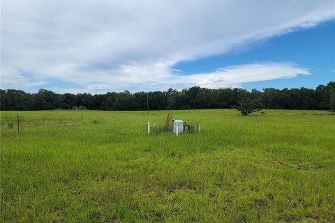 Propiedad comercial en venta en Belleview, Florida № 874802 - foto 12