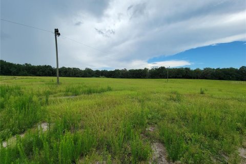Propiedad comercial en venta en Belleview, Florida № 874802 - foto 14