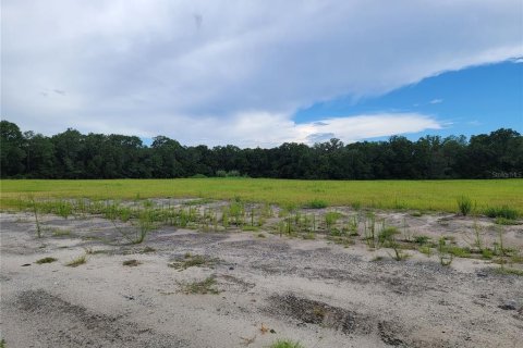 Propiedad comercial en venta en Belleview, Florida № 874802 - foto 11