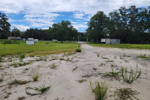 Propiedad comercial en venta en Belleview, Florida № 874802 - foto 8