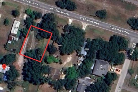 Land in Davenport, Florida № 1618243 - photo 1