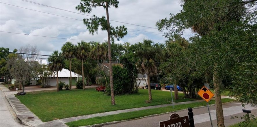 Terrain à Tarpon Springs, Floride № 2091519