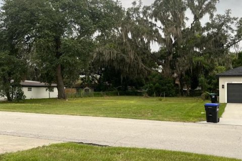 Land in Orlando, Florida № 2277679