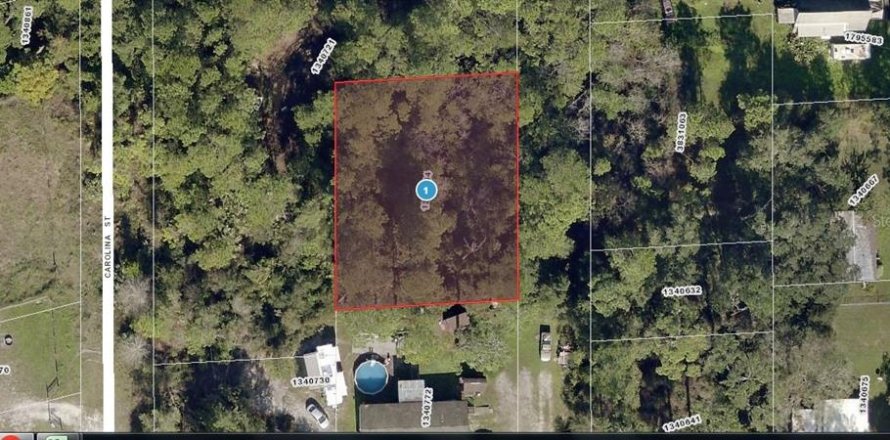 Land in Paisley, Florida № 2163511