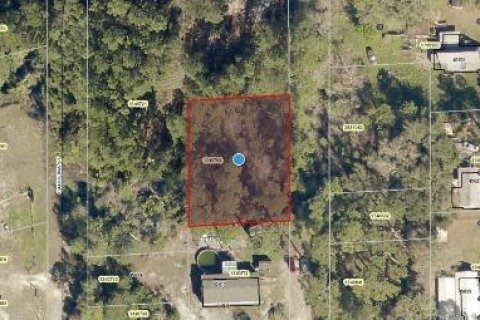 Land in Paisley, Florida № 2163511 - photo 4