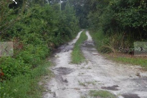 Land in Paisley, Florida № 2163511 - photo 2