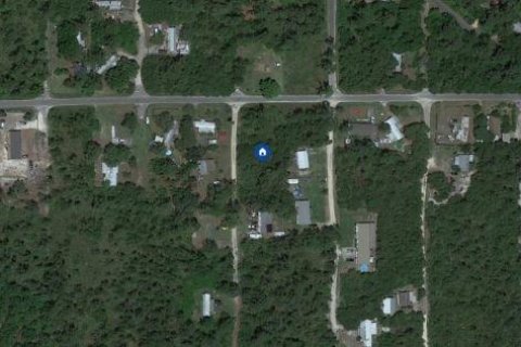 Land in Paisley, Florida № 2163511 - photo 5
