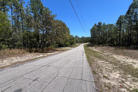 Land in Beverly Hills, Florida № 1636072 - photo 9