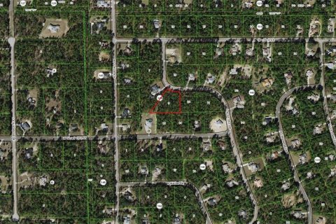 Land in Beverly Hills, Florida № 1636072 - photo 6
