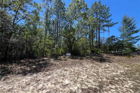 Land in Beverly Hills, Florida № 1636072 - photo 3