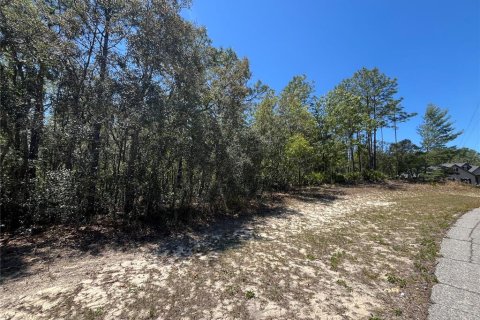 Land in Beverly Hills, Florida № 1636072 - photo 10