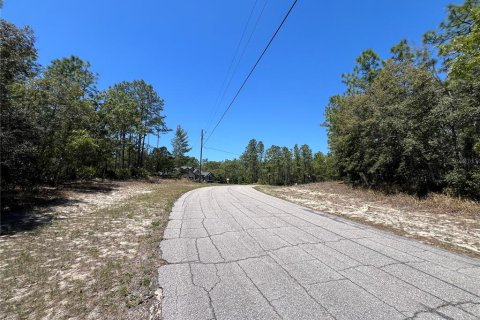 Land in Beverly Hills, Florida № 1636072 - photo 8