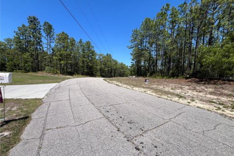Land in Beverly Hills, Florida № 1636072 - photo 12