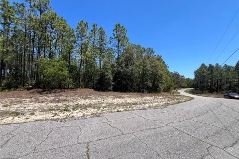 Land in Beverly Hills, Florida № 1636072 - photo 11